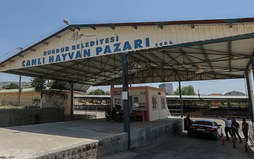 burdur-da-hayvan-pazari-sap-hastaligi-nedeniyle-gecici-olarak-kapatildi