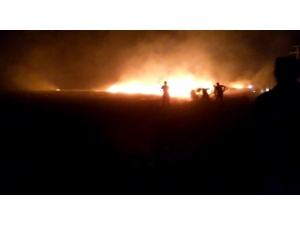 Tigem Arazisine Yıldırım Düştü, Binlerce Dönüm Ekili Arazi Kül Oldu