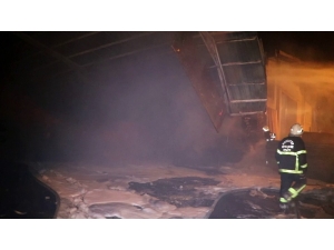 Alevler Arasında Mahsur Kalan Kediyi Vatandaşlar Kurtardı