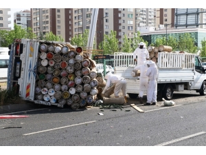 Diyarbakır’da Arı Saldırısı Alarmı