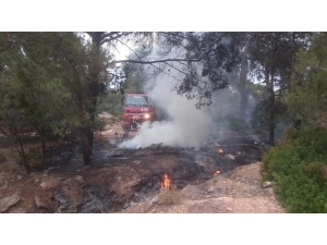 Orman Yangını Anında Müdahaleyle Söndürüldü