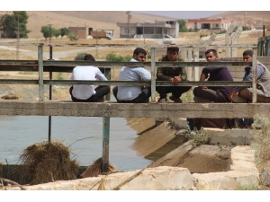 Sulama Kanalına Düşen Çocuğu Arama Çalışmaları Sürüyor