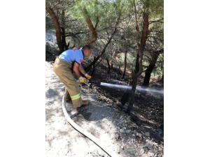 Islanan Elbiselerini Kurutmak İsteyen Çocuk Orman Yangınına Neden Oldu