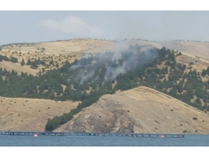 Ormanlık Alanda Yangın Çıktı, 3 Saatte Kontrol Altına Alındı