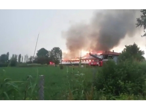 Hindi Üretim Çiftliğine Yıldırım Düştü