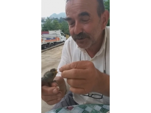 Rizeli’nin Kuş Sevgisi Böyle Olur