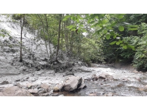 Dereleri Böyle Kirletiyoruz