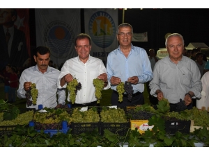 Mersin’de 3. Örtüaltı Üzüm Festivali Yapıldı