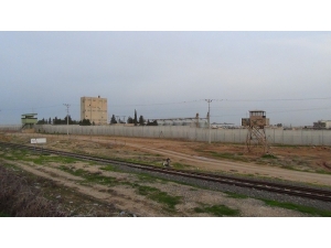 Ceylanpınar’da 1 Terörist Yakalandı