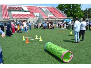 Anaokulunda Survivor