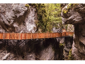 Küre Dağları Milli Parkı’na “Platin Yabanıl Sertifika”sı