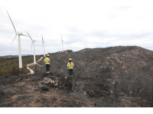 İspanya’da 220 Hektar Orman Kül Oldu