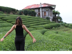 Çay Bahçesi Çay Bahçesi Olalı Böyle İlgi Görmedi