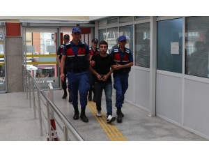 Ormanlık Alana Kenevir Eken Şahıs Adliyeye Sevk Edildi