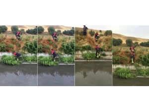 Sulama Kanalında Mahsur Kalan Köpekleri İtfaiye Kurtardı