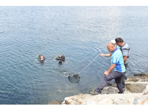 ‘Denizden Babam Çıksa Yerim’ Demeden Önce Bir Kez Daha Düşünün