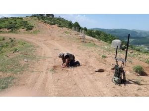 Bingöl’de Tüp Ve Tenekeye Yerleştirilen Eyp İmha Edildi
