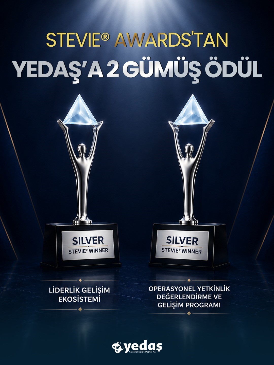 yedas-a-stevie-awards-tan-iki-gumus-odul