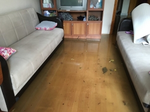 Kartal’da Su Basan Evde Yaşlı Kadın Mahsur Kaldı