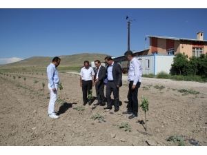 Van Ticaret Borsasından Votaş’a Tam Destek