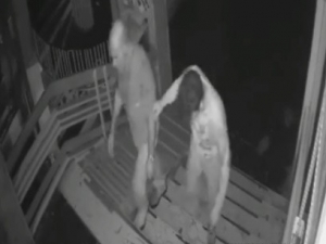 Görevliyi Darp Edip, Cep Telefonlarını Çaldı