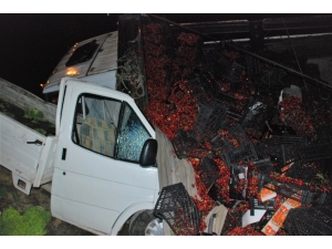 Kiraz Yüklü Kamyon Kamyonetin Üzerine Devrildi: 3 Yaralı