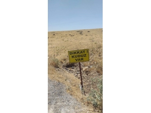 Köpek Kuduz Çıktı, Köy Karantinaya Alındı