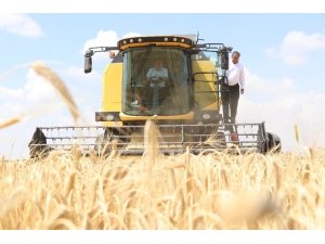 Arpa Üretiminde Türkiye 6’ncısı Aksaray’da Hasat Başladı