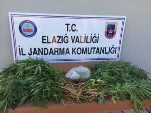 Jandarmadan Uyuşturucu Operasyonu; 1 Gözaltı