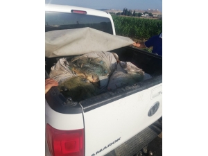 Kaçak Balık Avlayan 2 Kişiye Bin 635 Tl Para Cezası