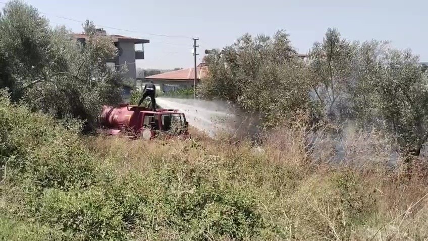 manavgat-ta-tarim-arazisinde-cikan-yangin-sonduruldu