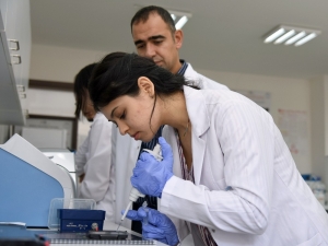 Kastamonu Üniversitesi, İthal Edilen Peyniri Yaptığı Çalışmayla Millileştirecek