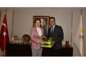 Başkan Öküzcüoğlu Akşener’i 5 Eylül Kutlamalarına Davet Etti