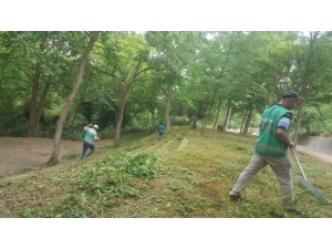 Cephanelik Mesire Alanı Elden Geçirildi