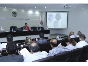 İsviçre’nin Yatırım Ve Ticaret Olanakları Mtso’da Tanıtıldı