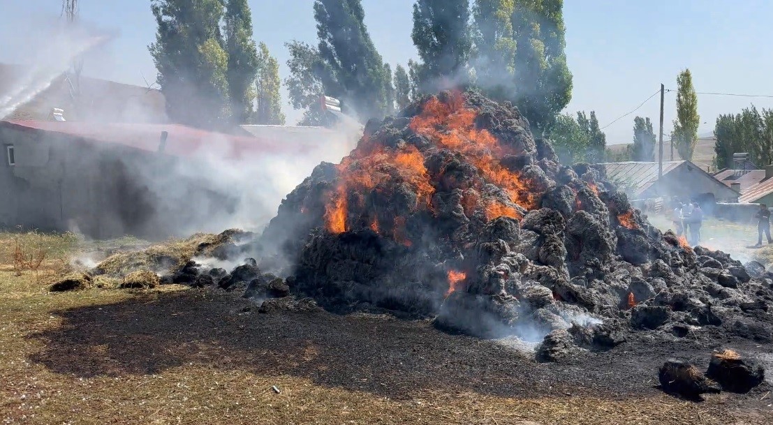 kars-ta-bin-ot-balyasi-kul-oldu