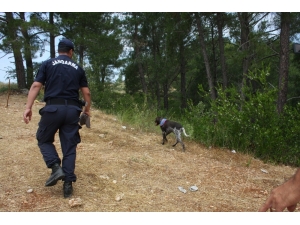 Dört Gündür Kayıp Gencin Babasının Acı Bekleyişi