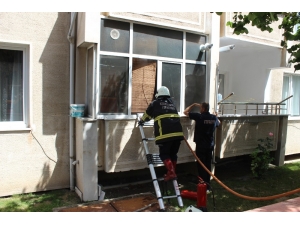 Yanan Evden Çıkarılan Kediyi 112 Ekipleri Oksijen Vererek Kurtardı