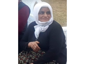 Bahçede İş Yaparken Yıldırım Düştü, Yaşlı Kadın Hayatını Kaybetti