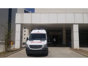 Ağaca Düşen Yıldırım Karı Kocayı Yaraladı