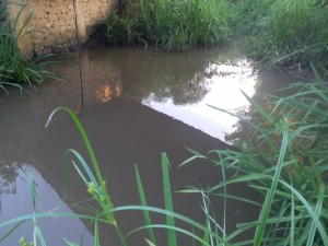 Tekirdağ’da Dere Kirliliği