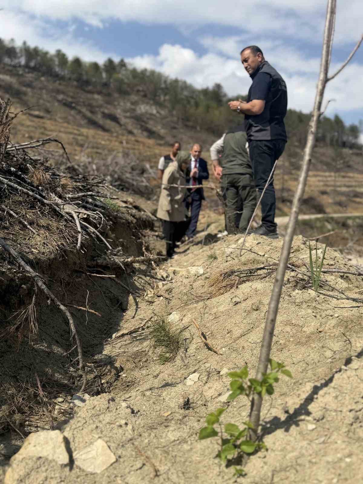 bilecik-te-yangin-sahalarinda-agaclandirma-calismalari-incelendi
