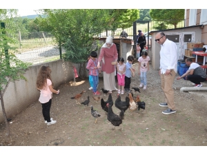 Bu Okul Diğerlerinden Çok Farklı