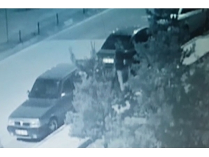 Oto Hırsızı Sevgililer Güvenlik Kamerasında