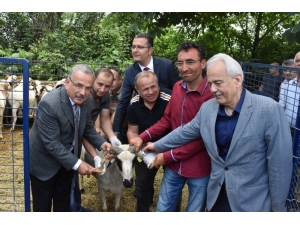 Hilmi Güler Ezber Bozdu