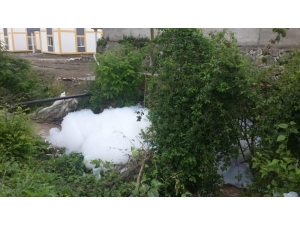 Sapanca Gölü’ne Dökülen Derede Köpük Oluştu