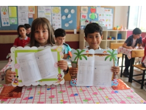 Fatsa’da Karne Heyecanı