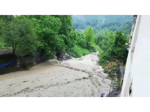 Taşan Dere Ördekleri Sürükledi