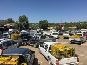 Mut Sebze Ve Meyve Toptancı Hali İhtiyaca Cevap Vermiyor