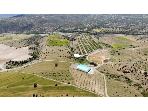 Kemah Ve Ceviz Aşkına Milyonlarca Liralık Yatırım